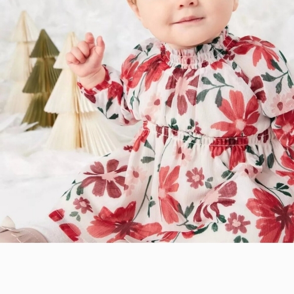 NEW! Baby Girls 2pc Set Long Sleeve Floral Chiffon Dress, Red, ⁃ Carter' - Picture 11 of 11